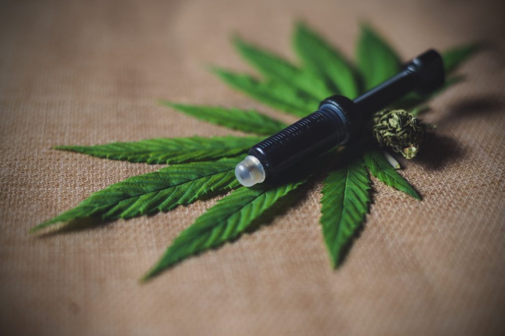 cbd oil