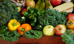 healthy life